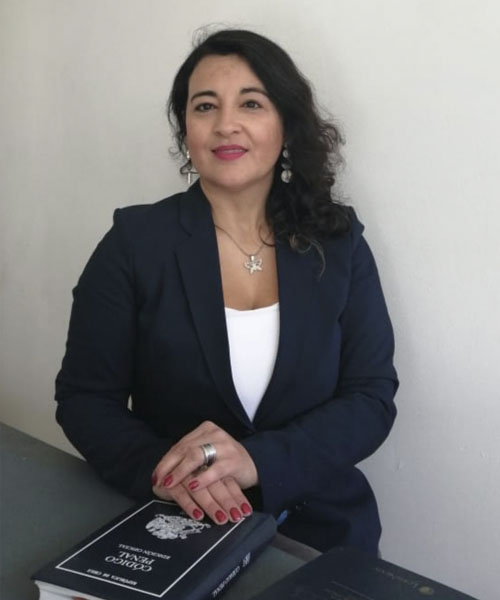perfil1 perfil1